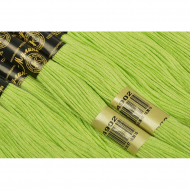 Нитки мулине цв.4902 св.салатовый 12х10м С-Пб