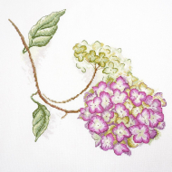 Набор для вышивания "Гортензия"