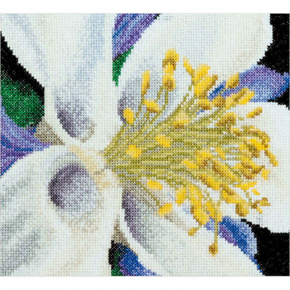 Набор для вышивания "Колумбина", канва аида 18 ct