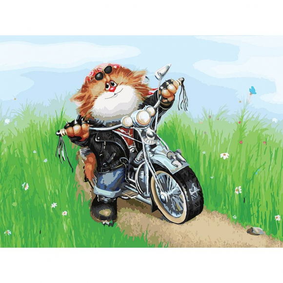 Живопись на картоне Белоснежка арт.БЛ.3001-CS Котоциклист 30х40 см