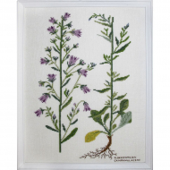 186794_Набор для вышивания: "Семья колокольчиков"