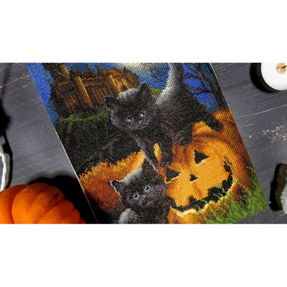 187470_Набор для вышивания "Мы вас напугали?"