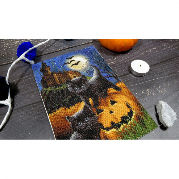 187470_Набор для вышивания "Мы вас напугали?"