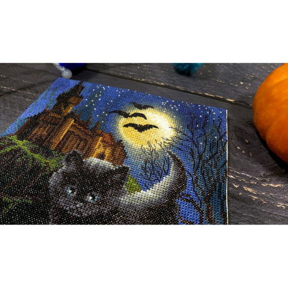 187470_Набор для вышивания "Мы вас напугали?"