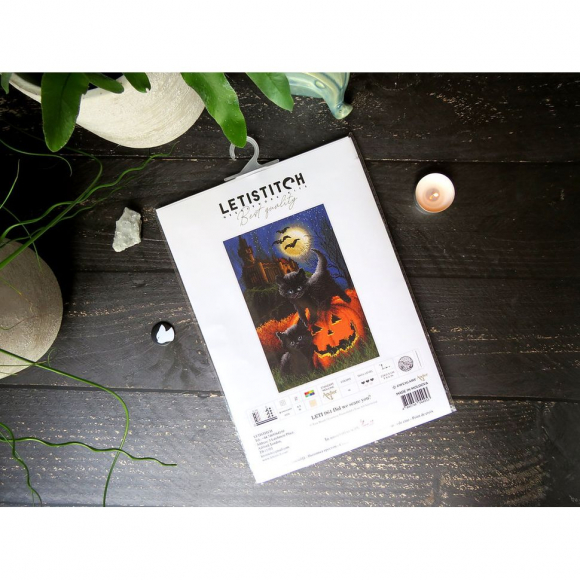 187470_Набор для вышивания "Мы вас напугали?"