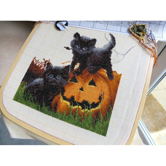 187470_Набор для вышивания "Мы вас напугали?"