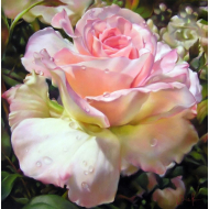 173919_Картина стразами "Роза"