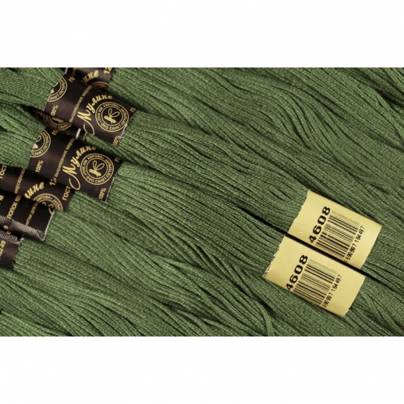 Нитки мулине цв.4608 зеленый 12х10м С-Пб