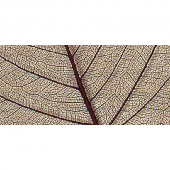 121223_Листья сухие для декора