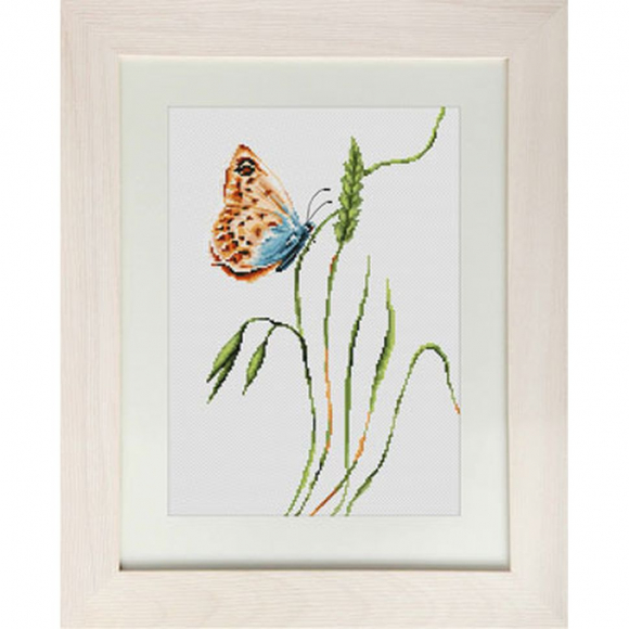 67732_Набор для вышивания "Запах лета"