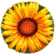 178241_Набор для вышивания коврика "Подсолнух"