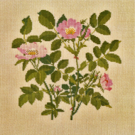 186804_Набор для вышивания: "Роза" 186804_Набор для вышивания: "Роза"