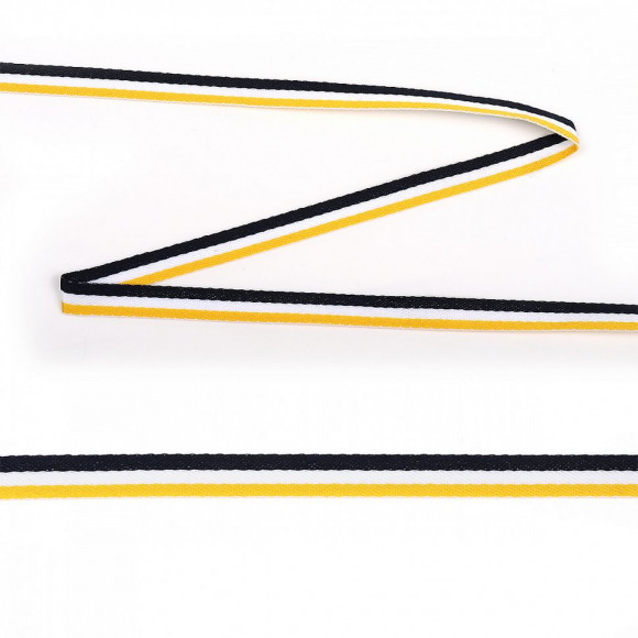 Тесьма TBY тканая неэластичная Лампас NET7510 шир.10мм уп,45,7м