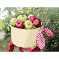 Картины по номерам с холстом на подрамнике ФРЕЯ арт.PNB.C3 №01 Дачный урожай 40х30 см