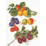 Набор для вышивания THEA GOUVERNEUR арт.3062 Персики & Сливы 33х45 см
