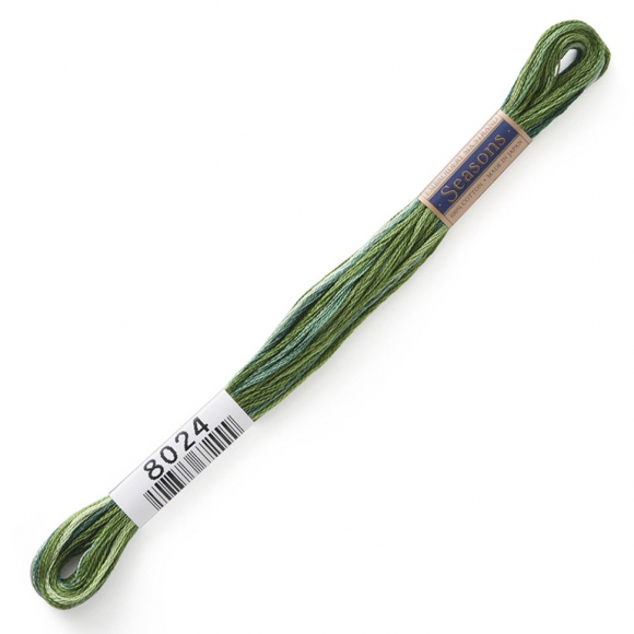 164875_Мулине Cosmo меланж Seasons 8024