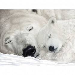 Алмазная мозаика Ah5343 Медвежья нежность 30х40