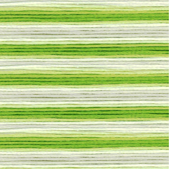 164866_Мулине Cosmo меланж Seasons 8015