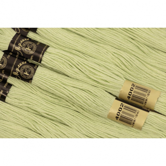 Нитки мулине цв.4002 бл.салатовый 12х10м С-Пб Нитки мулине цв.4002 бл.салатовый 12х10м С-Пб
