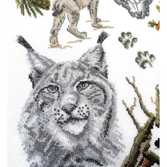 Набор для вышивания "Зоология. Рысь обыкновенная"