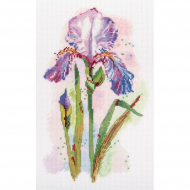 Набор для вышивания PANNA арт. C-7265 Акварельный ирис 16,5х26 см