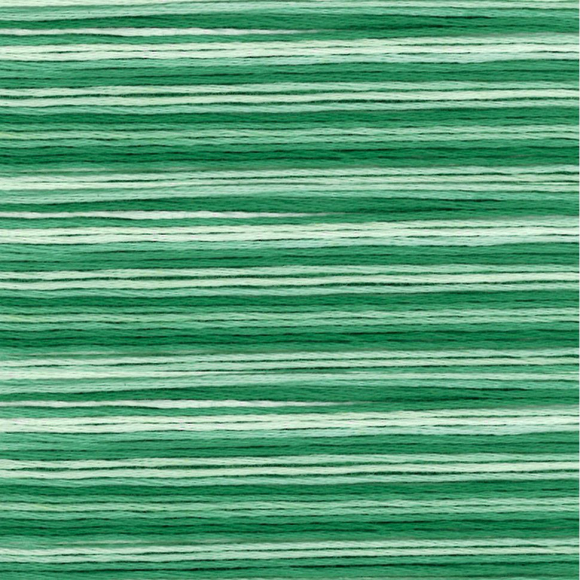 164874_Мулине Cosmo меланж Seasons 8023