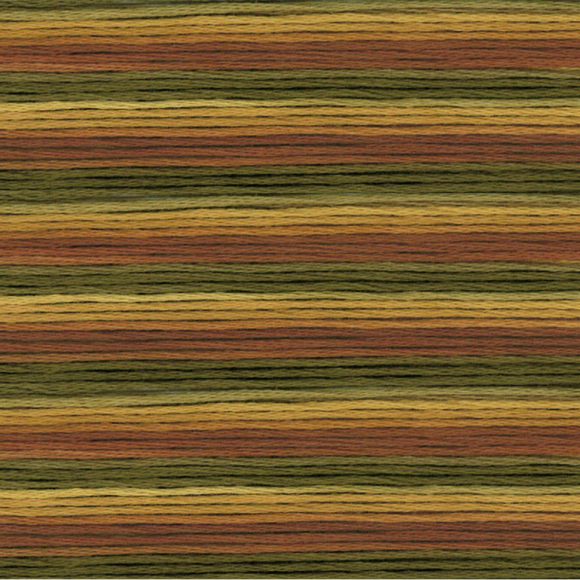 164888_Мулине Cosmo меланж Seasons 8037