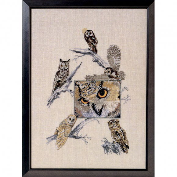 1785_Набор для вышивания "Совы"