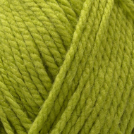 Пряжа для вязания ПЕХ Осенняя (25% шерсть, 75% ПАН) 5х200г/150м цв.448 св.оливковый