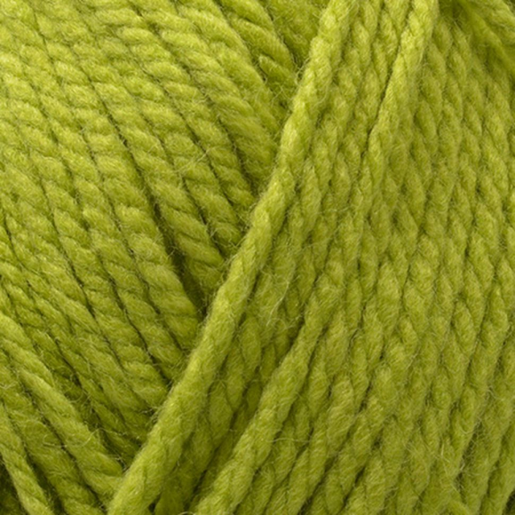 Пряжа для вязания ПЕХ Осенняя (25% шерсть, 75% ПАН) 5х200г/150м цв.448 св.оливковый