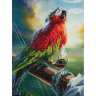 Кристальная мозаика на подрамнике ФРЕЯ арт.ALPD-038 Попугай Флинта 30х40 см