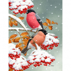 Алмазная мозаика Ah51151 Снегири и первый снег 40х50