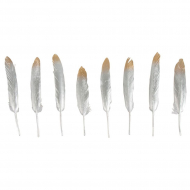 121102_Перья декоративные