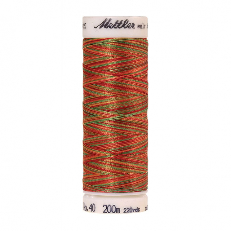 22829_Нить вышивальная мультиколор POLY SHEEN MULTI, 200 м