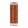 22829_Нить вышивальная мультиколор POLY SHEEN MULTI, 200 м