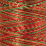 22829_Нить вышивальная мультиколор POLY SHEEN MULTI, 200 м