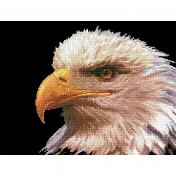 Кристальная мозаика на холсте ФРЕЯ арт.ALV-3 03 Орел 39,5х52 см