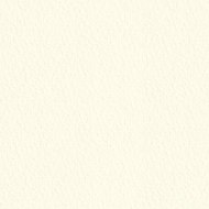 80290_Бумага универсального назначения "Color Multi Purpose Card"