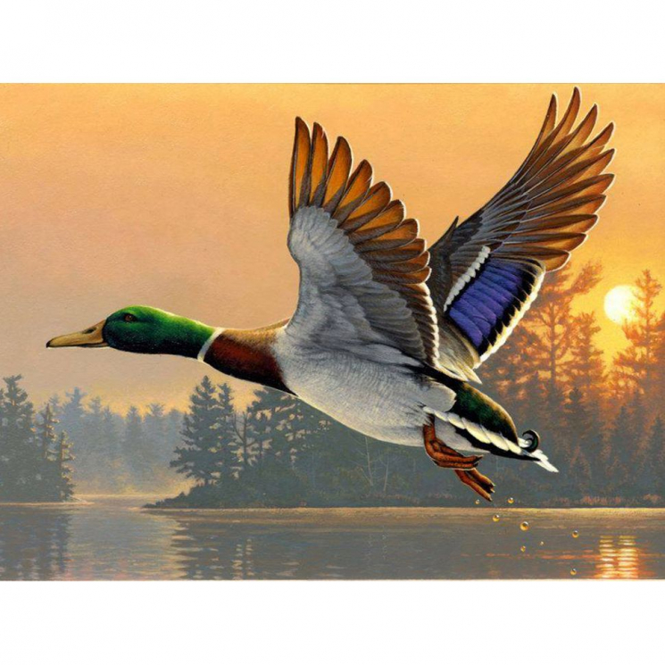 Алмазная мозаика Ah28911 Селезень 30х40