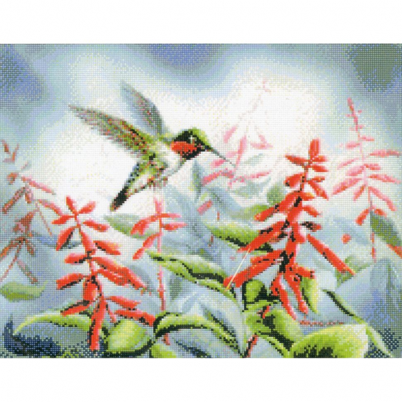 16727_Набор для вышивания "Колибри"