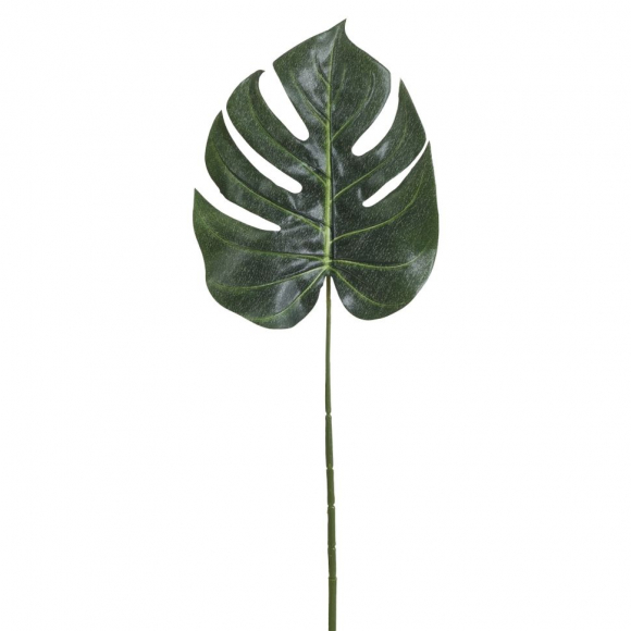 Лист декоративный "Филодендрон"