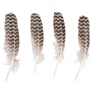 130532_Перья декоративные с прином и блестками "Зиг-заг"