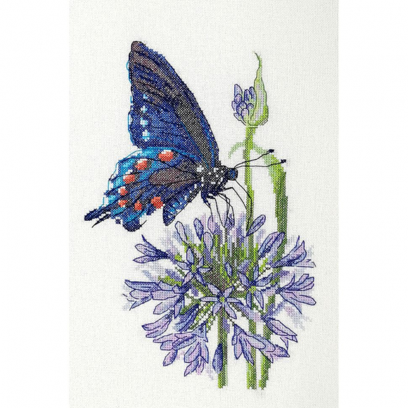 178222_Набор для вышивания "Синий махаон"