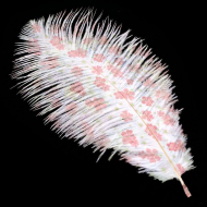 Перо страуса арт.R-2014-04 20-25 см цв.белый-розовый уп.10 шт.
