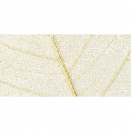 121232_Листья сухие для декора