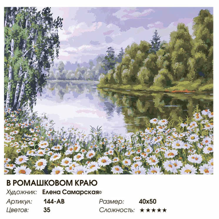 Картины по номерам Белоснежка арт.БЛ.144-AB В ромашковом краю 40х50 см