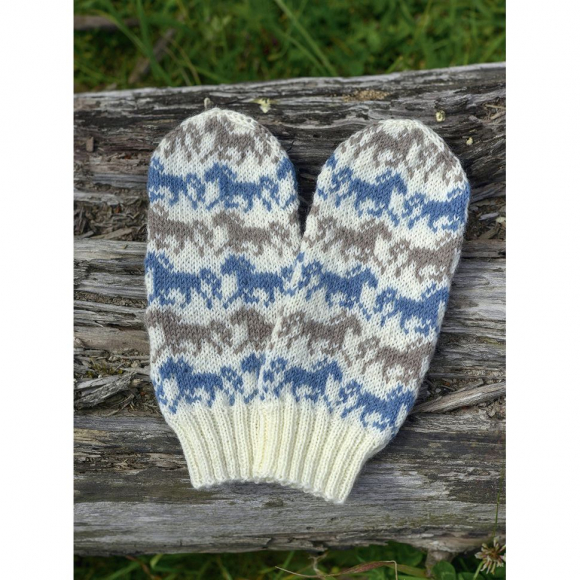 193262_Книга "Дизайнерский жаккард" Луми Кармитса. Вяжем варежки и носочки на спицах!