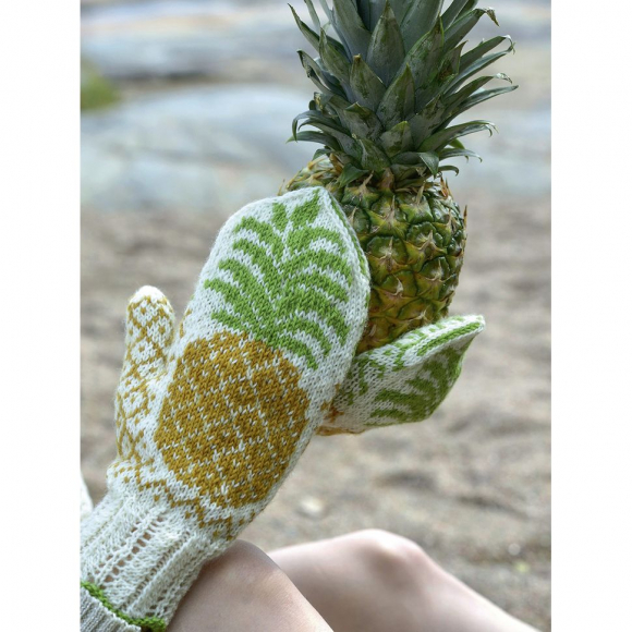 193262_Книга "Дизайнерский жаккард" Луми Кармитса. Вяжем варежки и носочки на спицах!