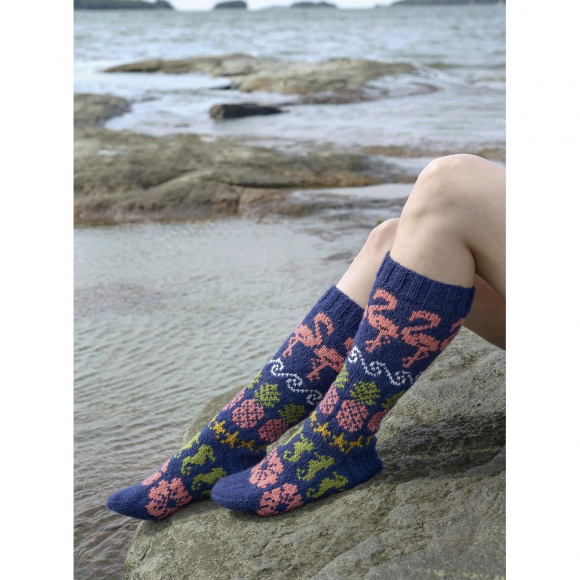 193262_Книга "Дизайнерский жаккард" Луми Кармитса. Вяжем варежки и носочки на спицах!