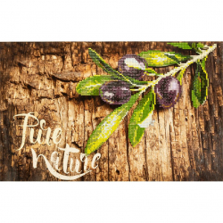 Кристальная мозаика на холсте ФРЕЯ арт.ALVR-222 Веточка оливы 40х25 см
